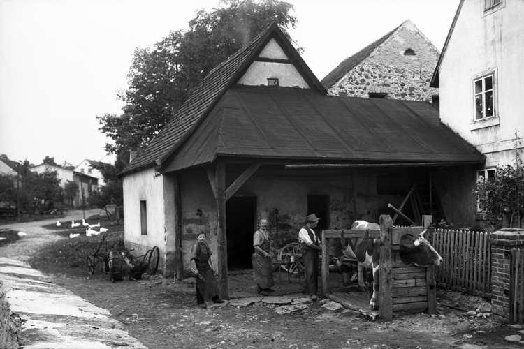 č. p. 10 - Kovářský mistr a majitel domu Josef Schröter. Pomocníkem je syn Ernst. Muž s býkem je Josef Vogel ze Slavošova.